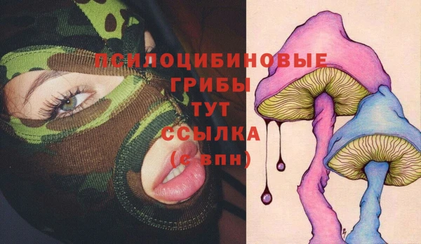 мдпв Майский