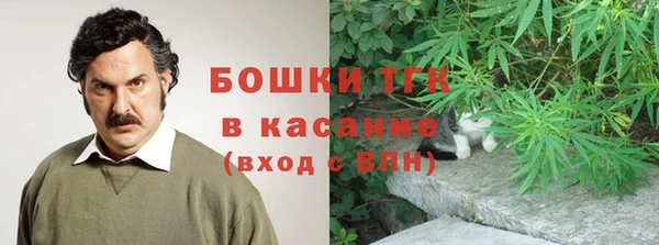 твердый Магас
