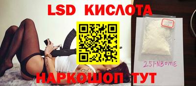 спайс Гай