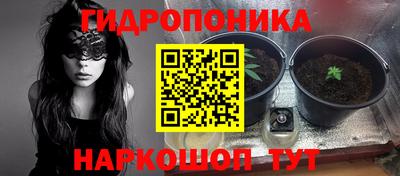 ешки Абакан