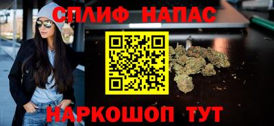 спайс Гай