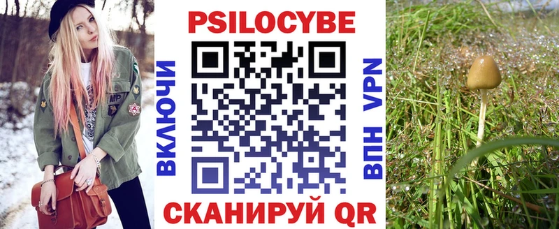 Псилоцибиновые грибы Psilocybe  купить   Челябинск 
