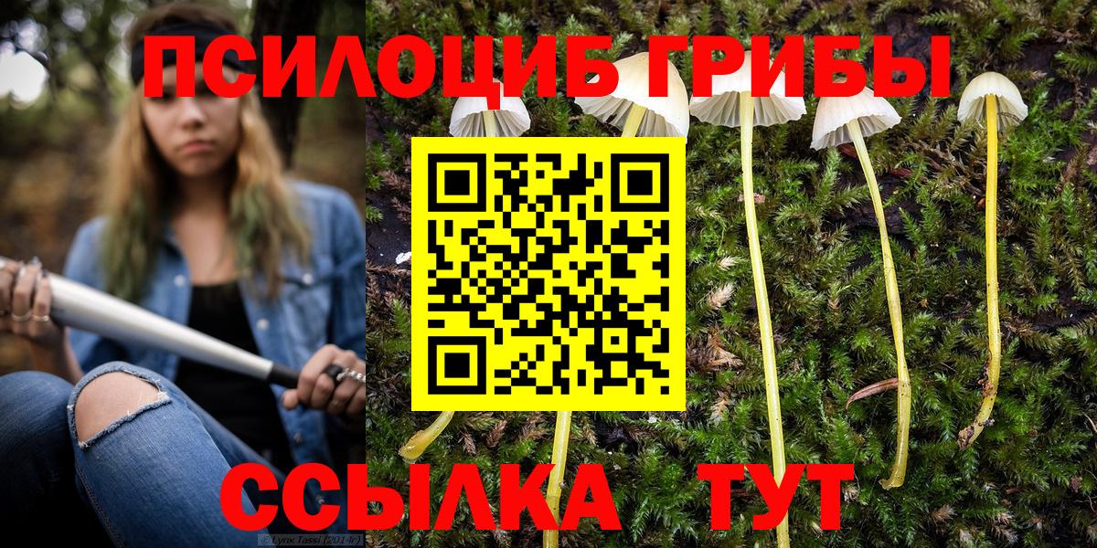 Псилоцибиновые грибы Magic Shrooms Россия