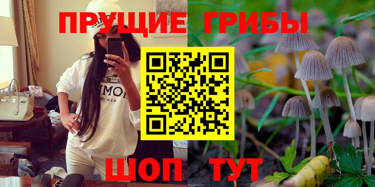 Россия  Галлюциногенные грибы ЛСД  наркота  Вход с VPN  Псилоцибиновые грибы ЛСД 